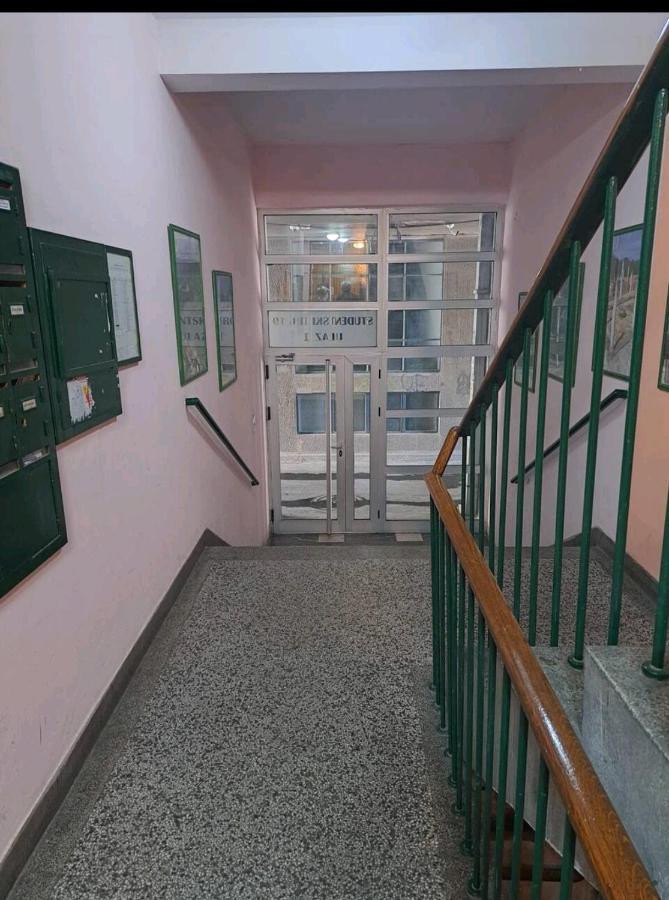 Apartman Milica 2023 بلغراد المظهر الخارجي الصورة